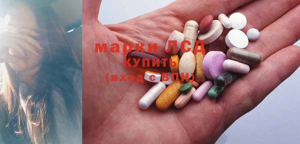 мяу мяу мука Бородино