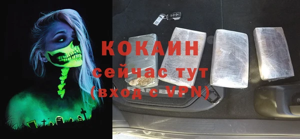 прущие грибы Верея