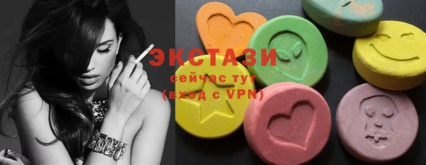 индика Елабуга