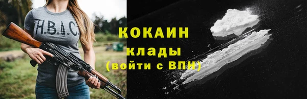 прущие грибы Верея