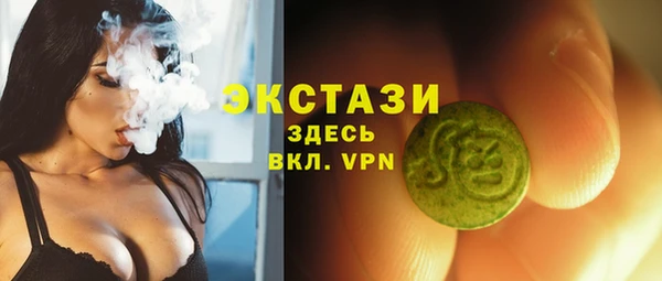 прущие грибы Верея