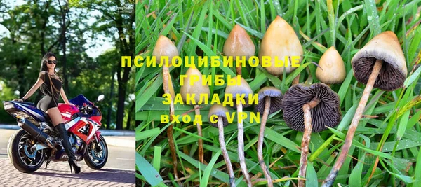 спайс Елизово