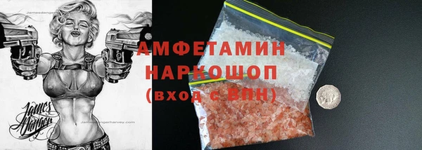 прущие грибы Верея
