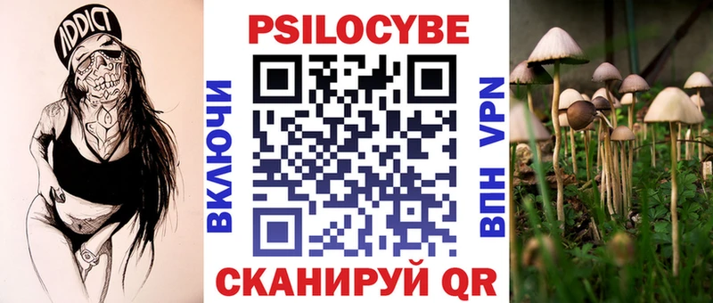 даркнет сайт  Чудово  ссылка на мегу ссылка  Псилоцибиновые грибы Psilocybine cubensis 